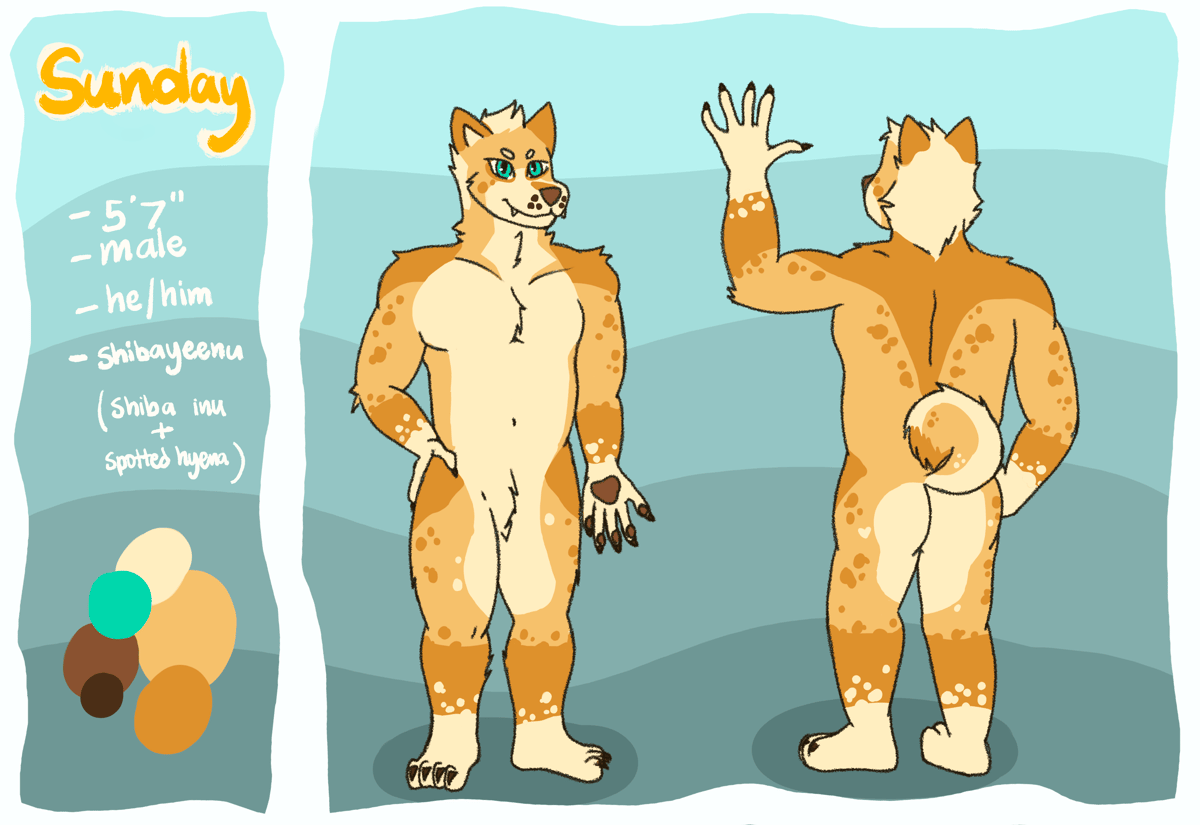 reference sheet