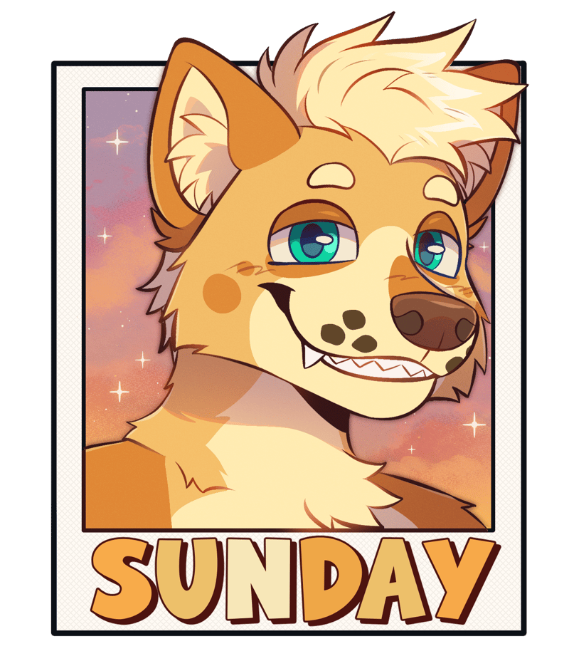 polaroid sunset