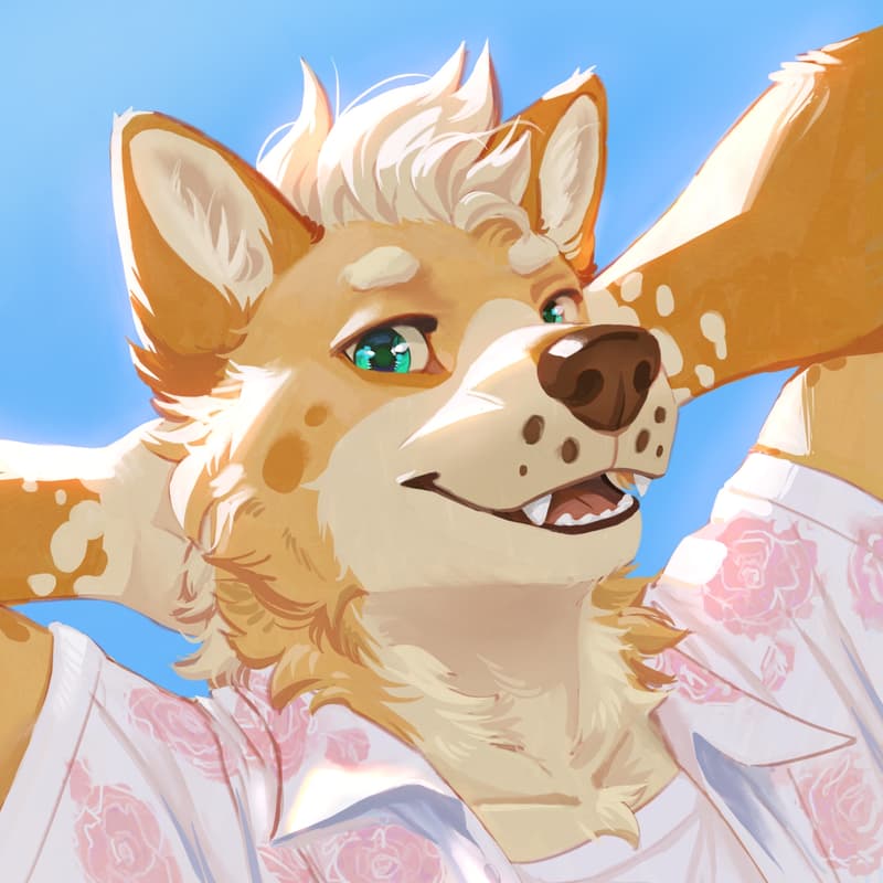 sunny day