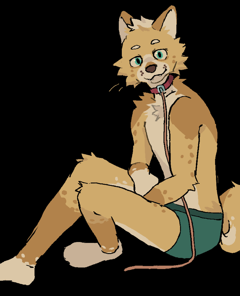 leashed