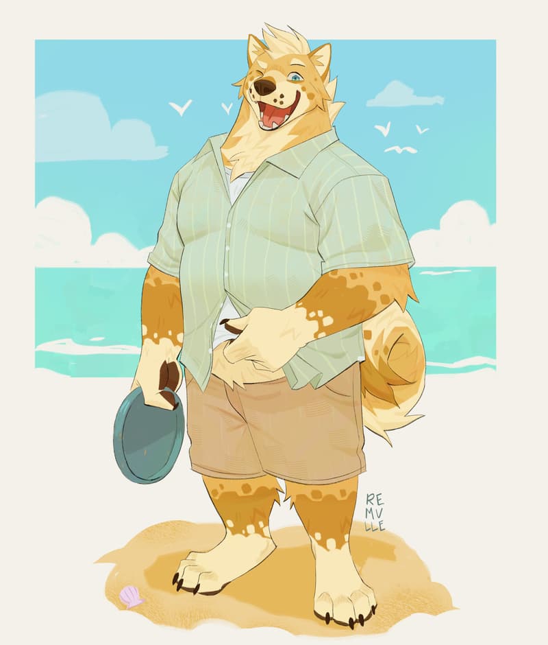 disc dog